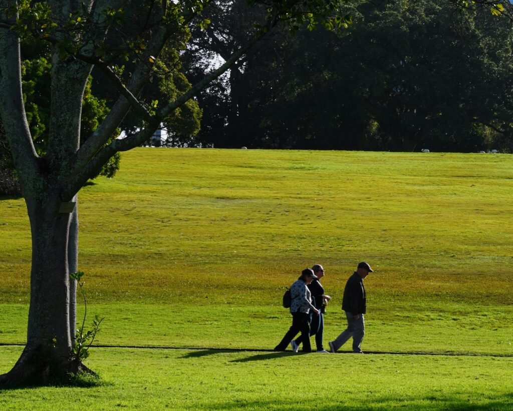Personas reunidas en un parque, imagen sobre exposición gradual y habilidades sociales para relacionarse aunque haya ansiedad o miedo al rechazo.